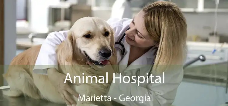 Animal Hospital Marietta - Georgia