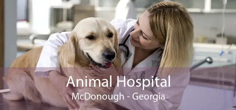 Animal Hospital McDonough - Georgia