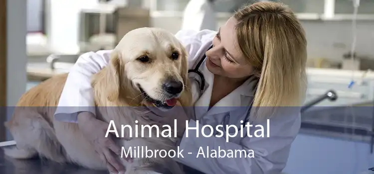 Animal Hospital Millbrook - Alabama