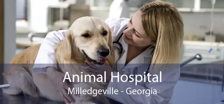 Animal Hospital Milledgeville - Georgia