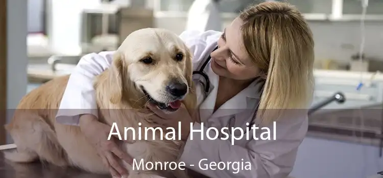 Animal Hospital Monroe - Georgia