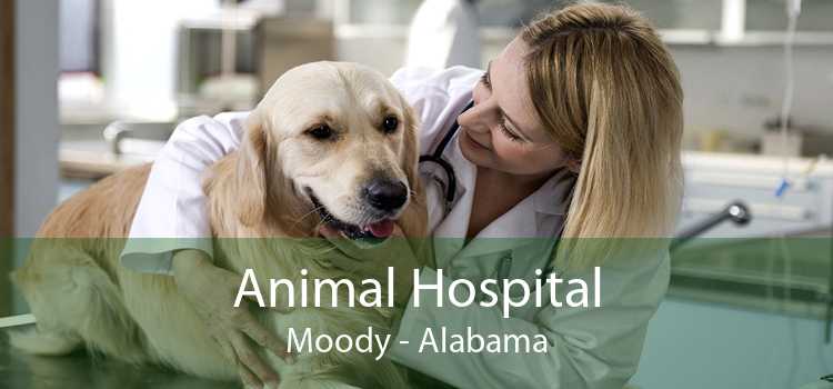 Animal Hospital Moody - Alabama