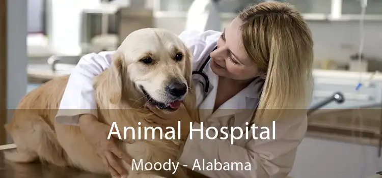 Animal Hospital Moody - Alabama