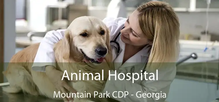 Animal Hospital Mountain Park CDP - Georgia