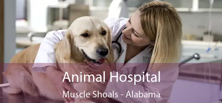 Animal Hospital Muscle Shoals - Alabama