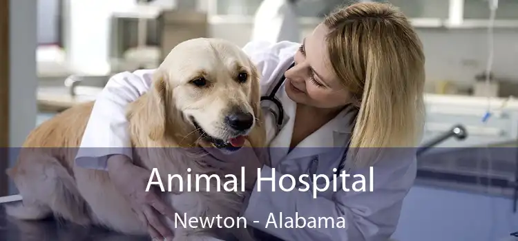 Animal Hospital Newton - Alabama