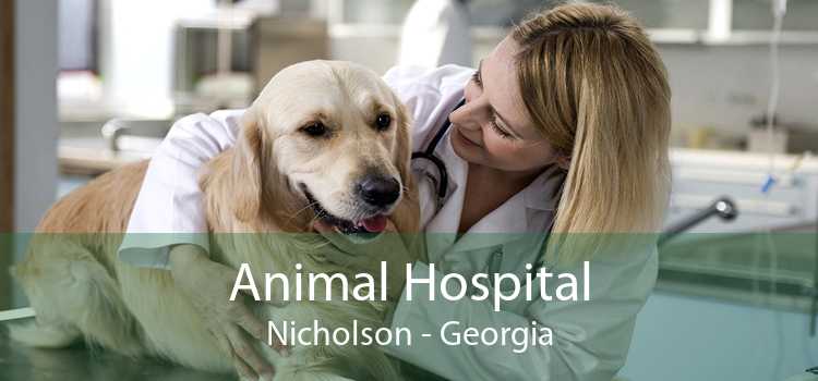 Animal Hospital Nicholson - Georgia