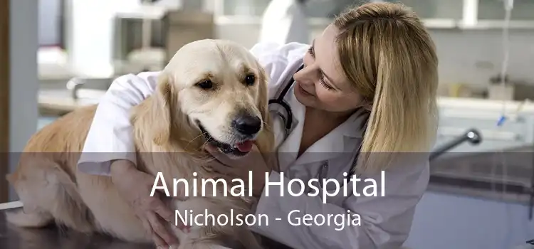 Animal Hospital Nicholson - Georgia