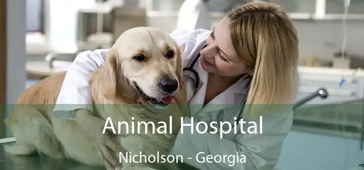 Animal Hospital Nicholson - Georgia