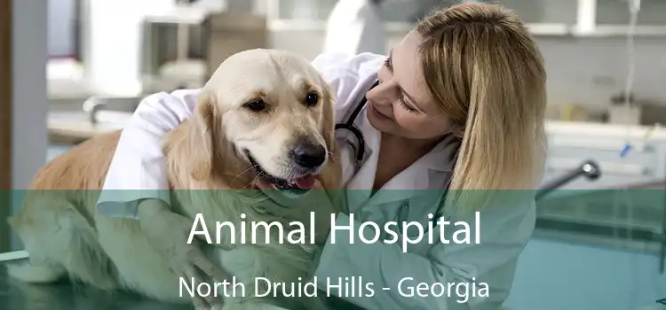 Animal Hospital North Druid Hills - Georgia