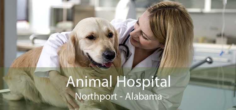 Animal Hospital Northport - Alabama