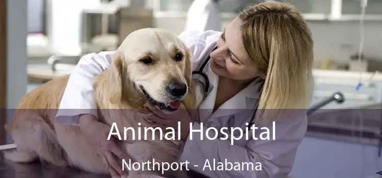 Animal Hospital Northport - Alabama