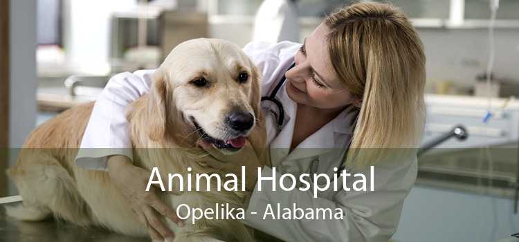 Animal Hospital Opelika - Alabama