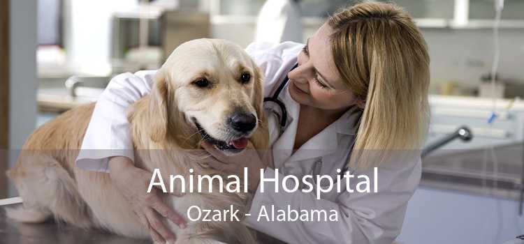 Animal Hospital Ozark - Alabama