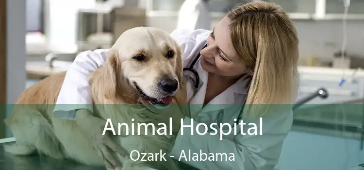 Animal Hospital Ozark - Alabama