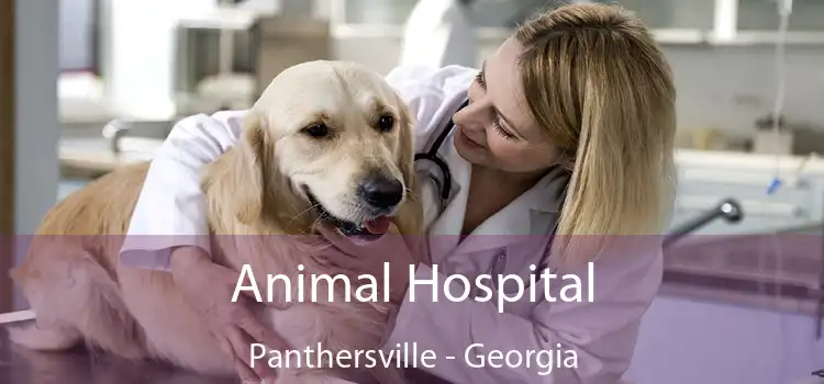 Animal Hospital Panthersville - Georgia