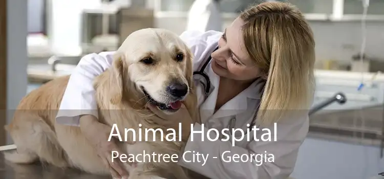 Animal Hospital Peachtree City - Georgia