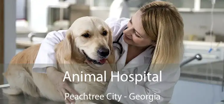 Animal Hospital Peachtree City - Georgia