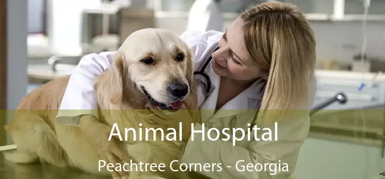 Animal Hospital Peachtree Corners - Georgia