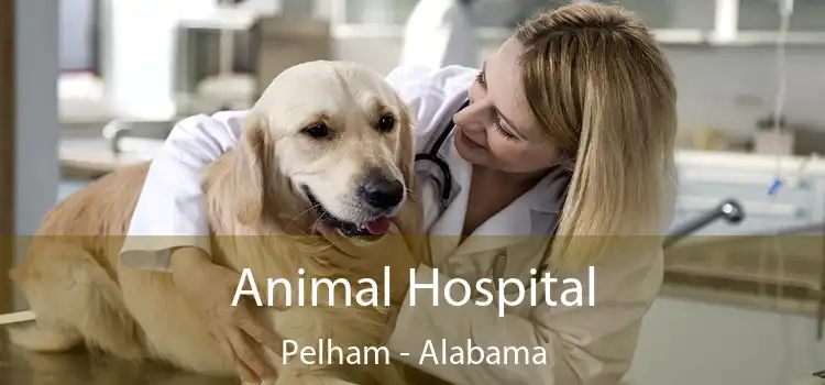 Animal Hospital Pelham - Alabama