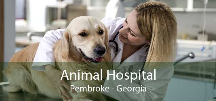 Animal Hospital Pembroke - Georgia
