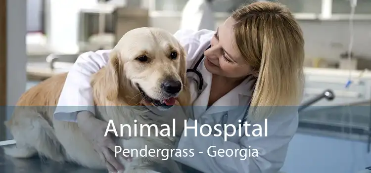 Animal Hospital Pendergrass - Georgia