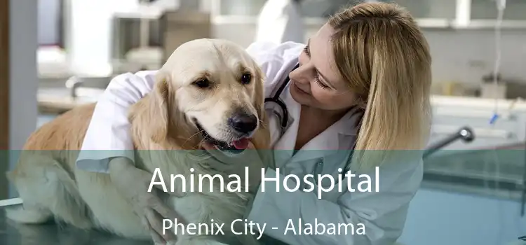 Animal Hospital Phenix City - Alabama