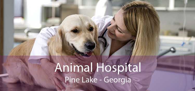 Animal Hospital Pine Lake - Georgia
