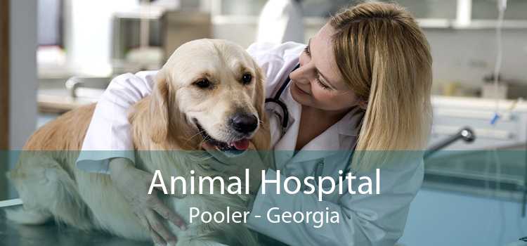 Animal Hospital Pooler - Georgia