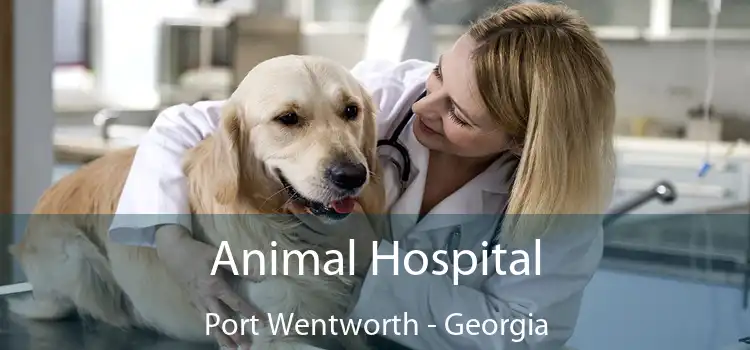 Animal Hospital Port Wentworth - Georgia