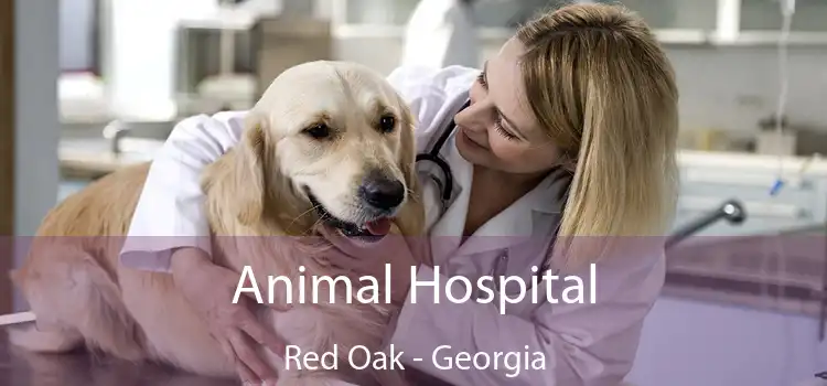 Animal Hospital Red Oak - Georgia