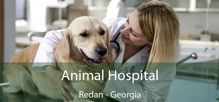 Animal Hospital Redan - Georgia