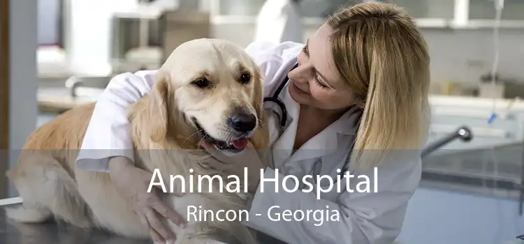 Animal Hospital Rincon - Georgia