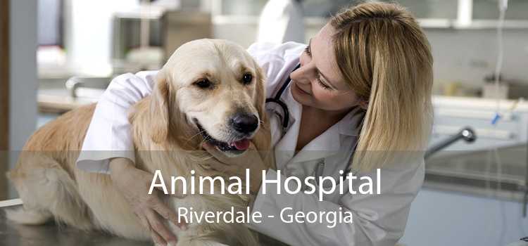 Animal Hospital Riverdale - Georgia