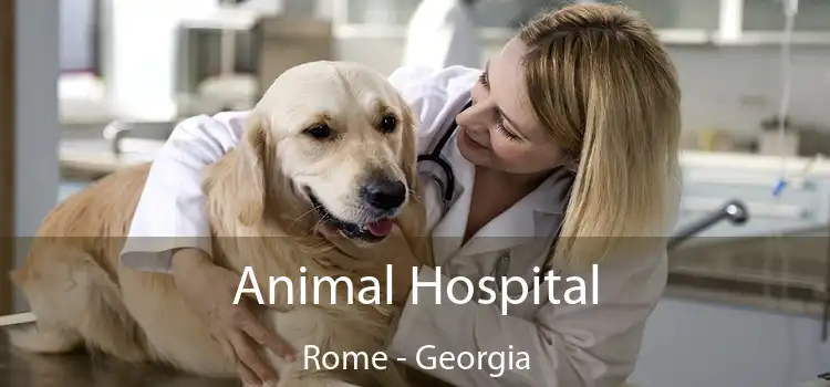 Animal Hospital Rome - Georgia