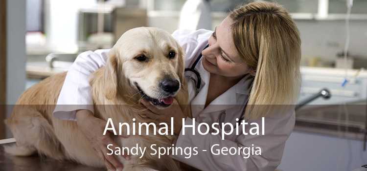 Animal Hospital Sandy Springs - Georgia