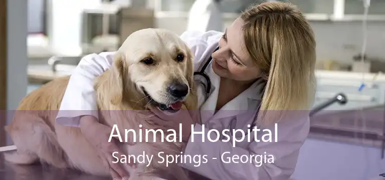 Animal Hospital Sandy Springs - Georgia