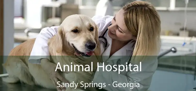 Animal Hospital Sandy Springs - Georgia