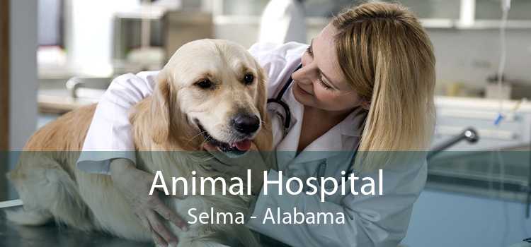 Animal Hospital Selma - Alabama