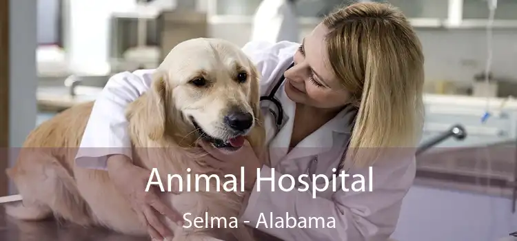 Animal Hospital Selma - Alabama