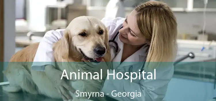 Animal Hospital Smyrna - Georgia