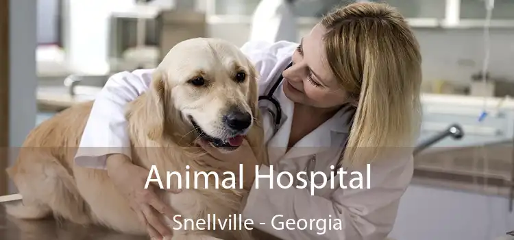 Animal Hospital Snellville - Georgia