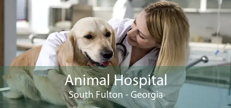 Animal Hospital South Fulton - Georgia