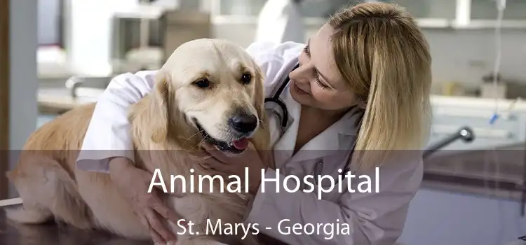 Animal Hospital St. Marys - Georgia