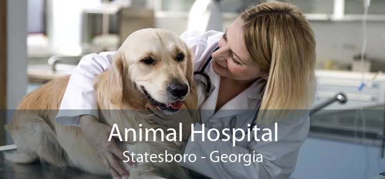 Animal Hospital Statesboro - Georgia