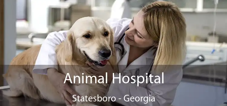 Animal Hospital Statesboro - Georgia