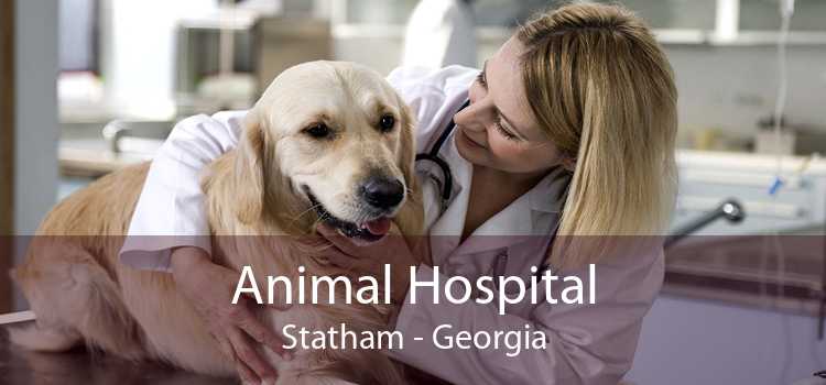 Animal Hospital Statham - Georgia