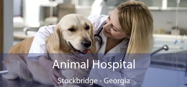 Animal Hospital Stockbridge - Georgia