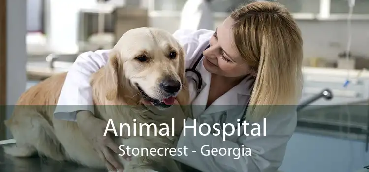Animal Hospital Stonecrest - Georgia