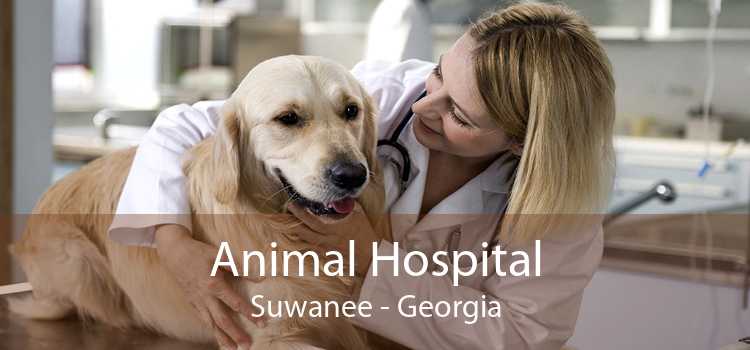 Animal Hospital Suwanee - Georgia